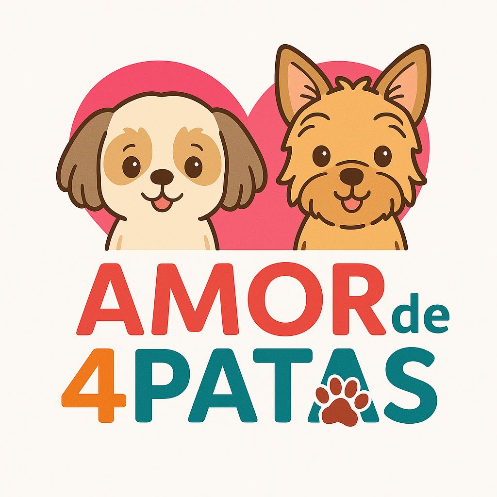 Canil Especializado em Shih-Tzu e Yorkshire no RJ | Canil Amor de 4 Patas